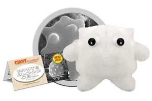 Giantmicrobes
